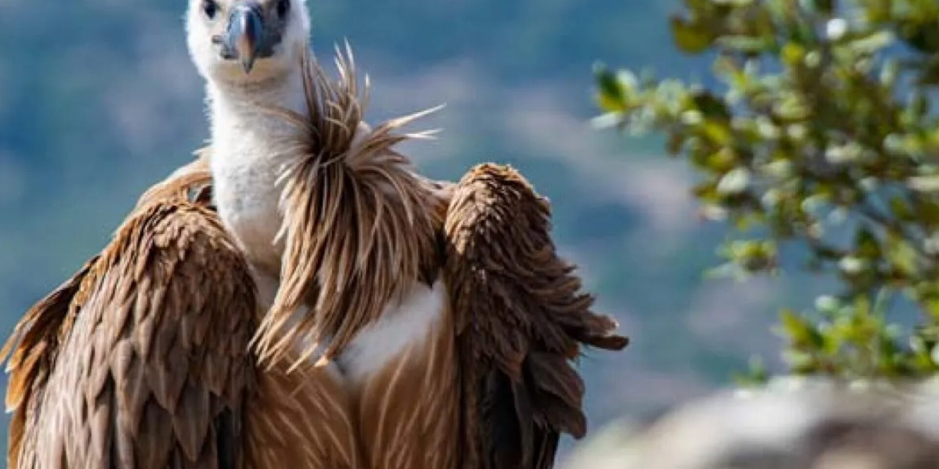 MARATONA SHARPER 2022