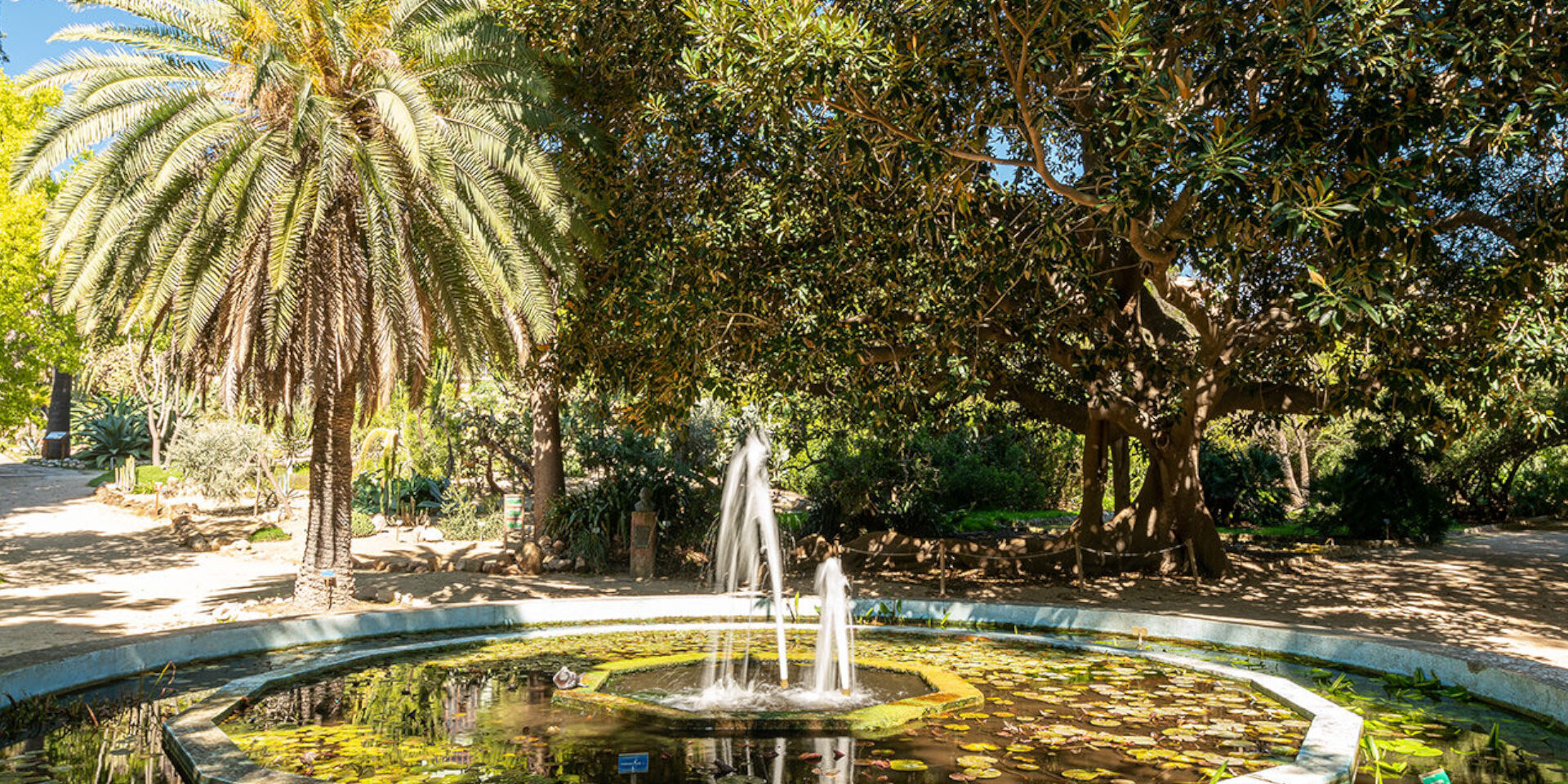 MARATONA SHARPER 2022