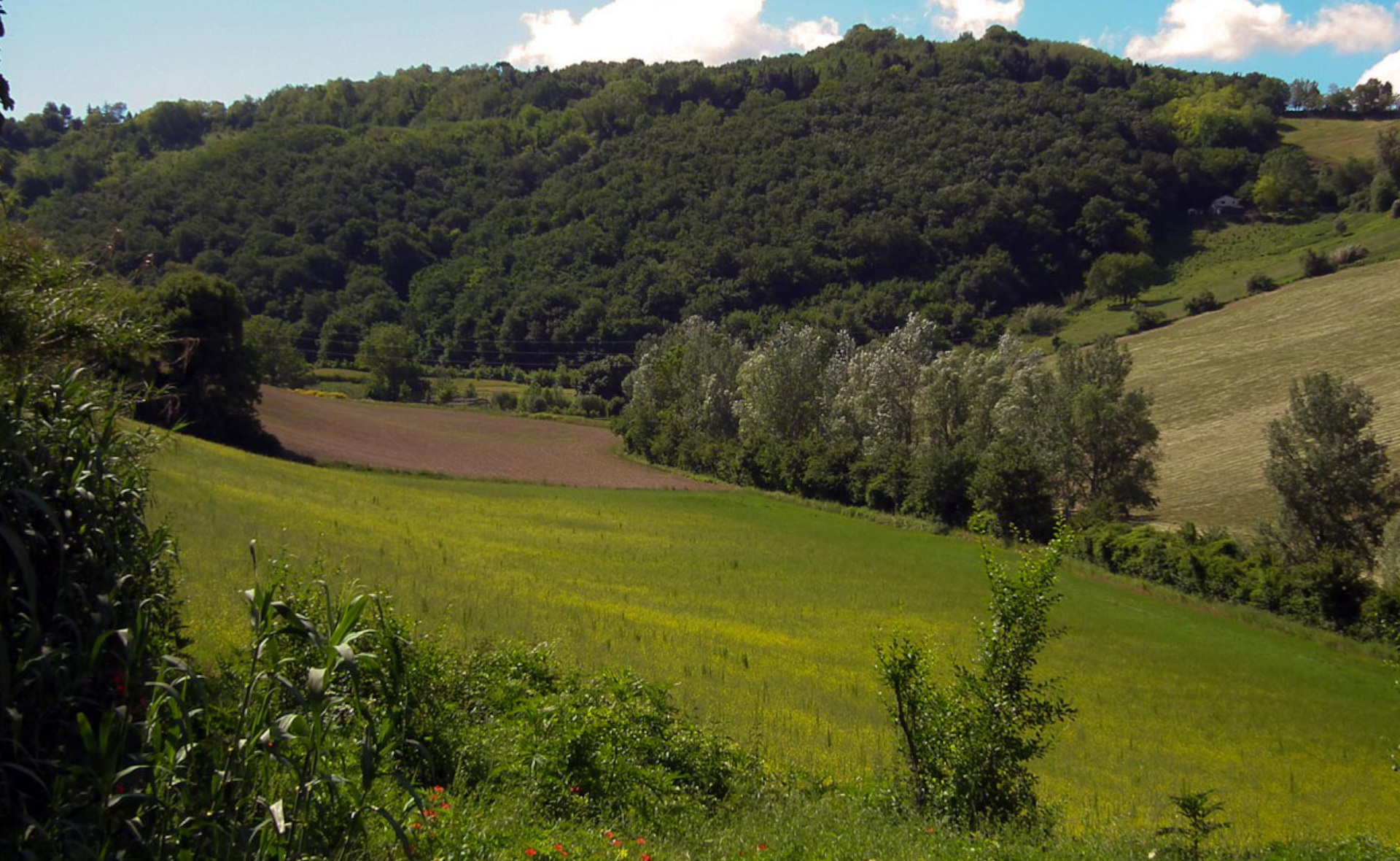 Una passeggiata all’Orto Botanico di Ancona