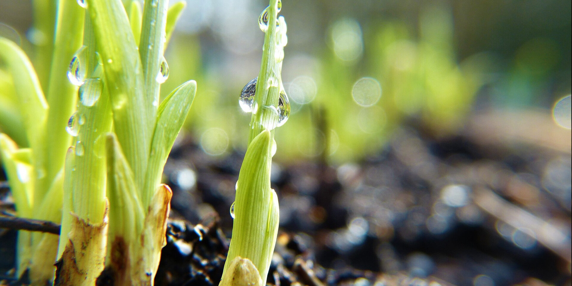 MARATONA SHARPER 2022