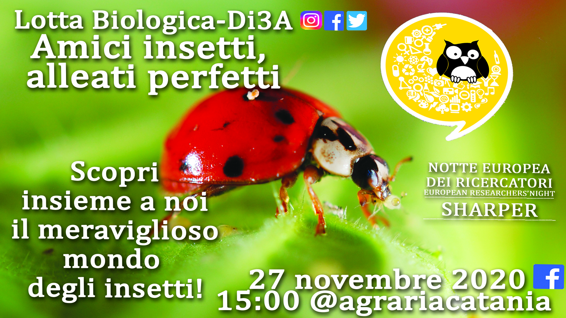 Di3A - Unict, Università di Catania