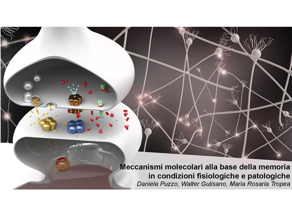 Biometec - Unict, Università di Catania