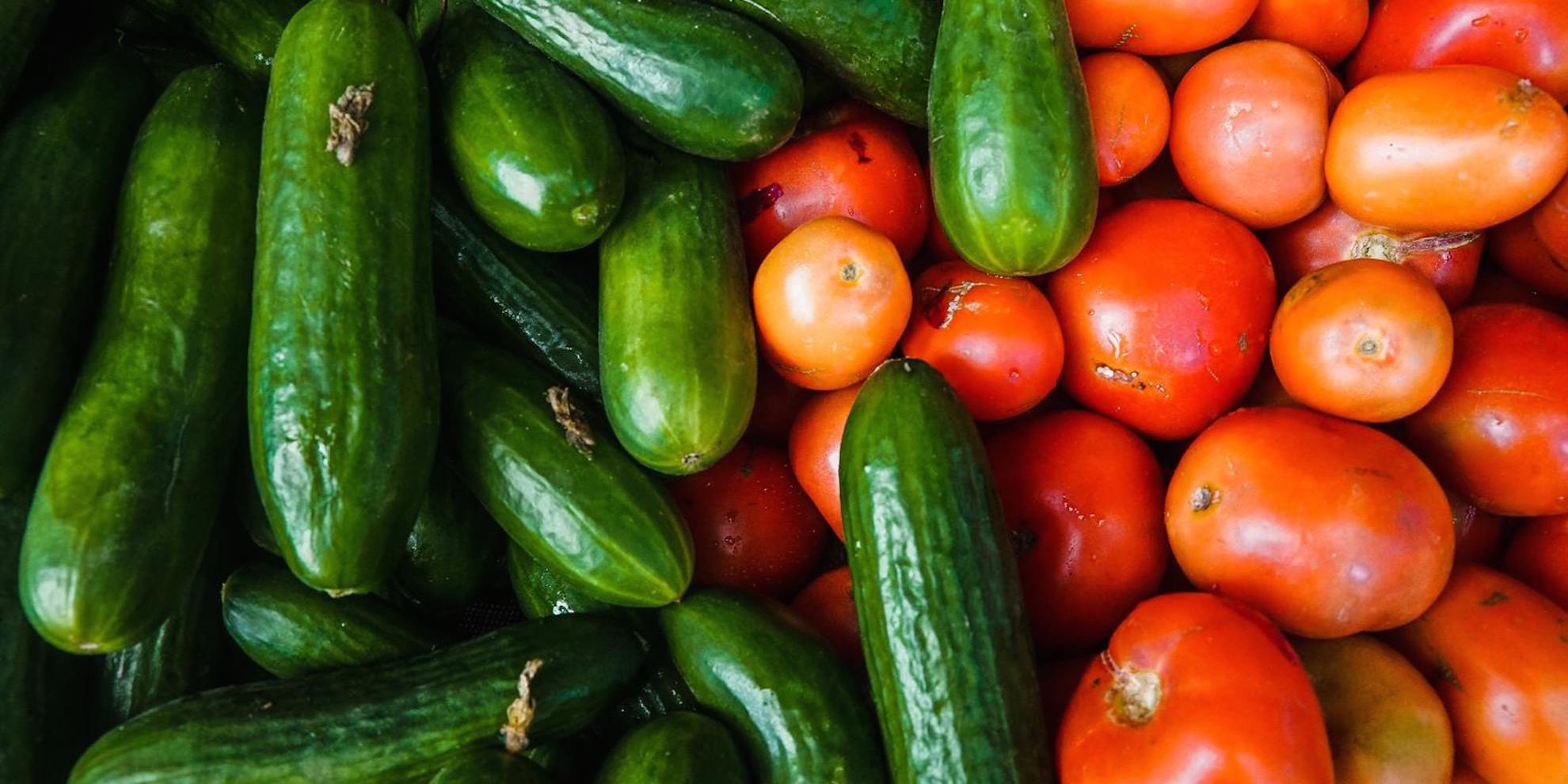 MANGIO ERGO SUM. LE SCELTE ALIMENTARI CI FANNO ESSERE QUELLO CHE SIAMO – A tu per tu con i ricercatori: inseguendo gli obiettivi