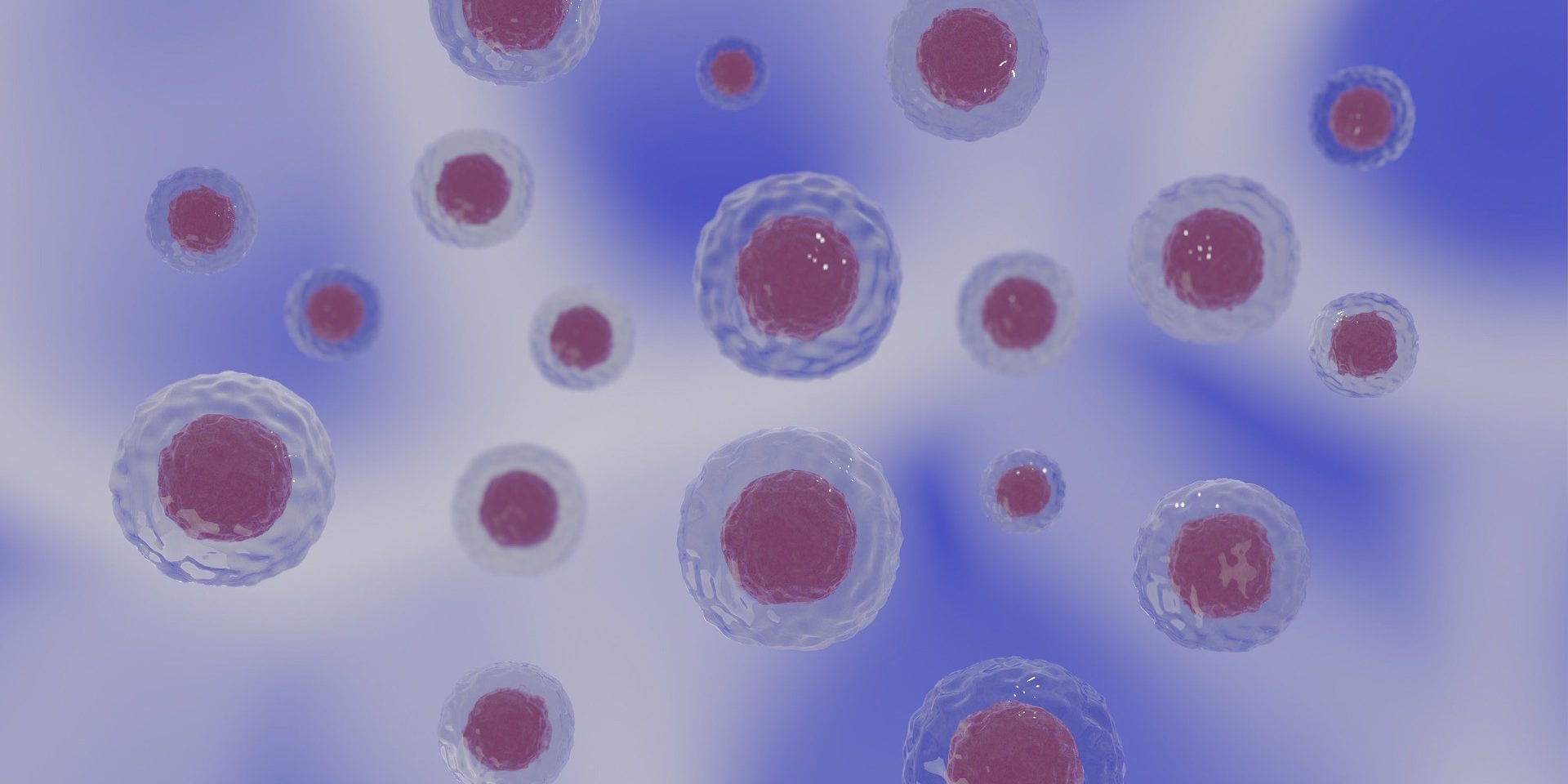 LA BATTAGLIA DEL CORPO – A tu per tu con i ricercatori: inseguendo gli obiettivi