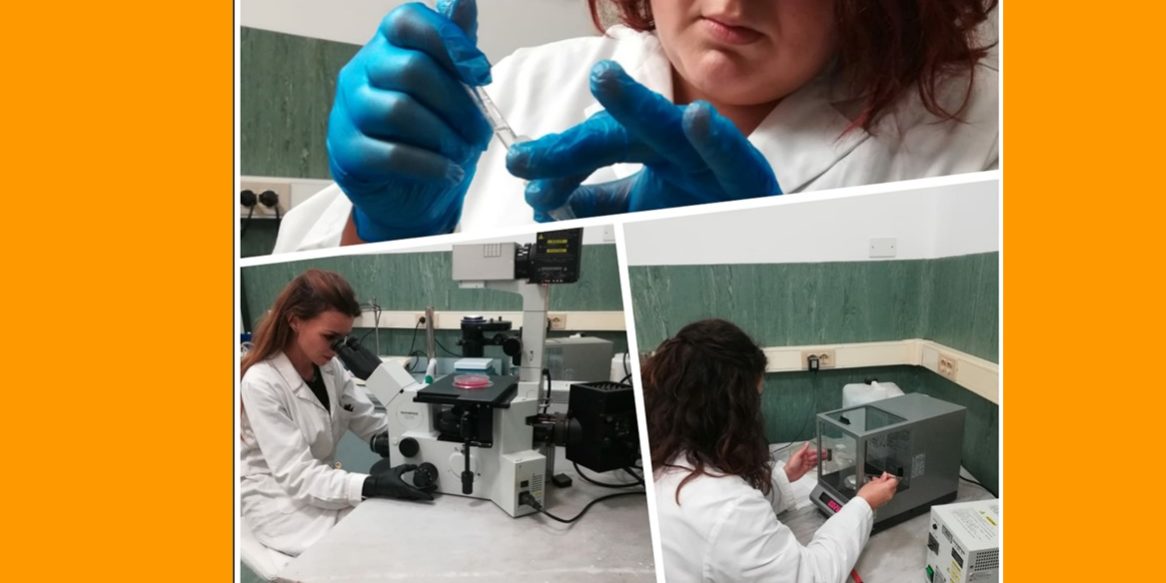 Identificare gli indicatori preclinici nelle malattie neurodegenerative ai fini di una terapia genica