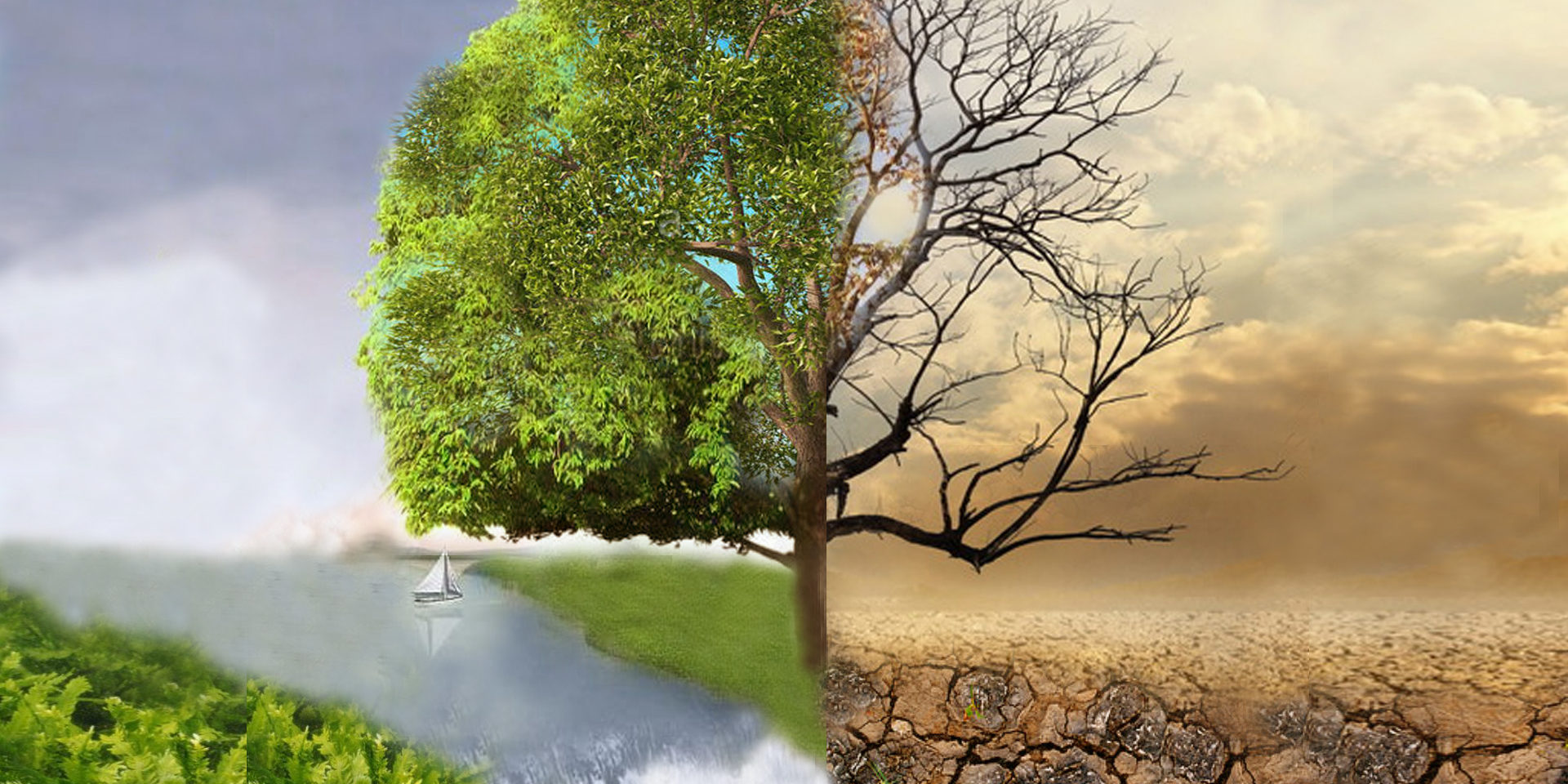 Quo vadis? Vegetali e Cambiamenti climatici