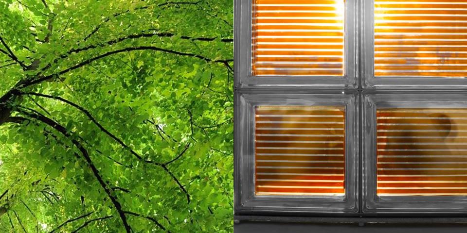 Vegetazione e Fotovoltaico per la costruzione di edifici e città più “sostenibili”