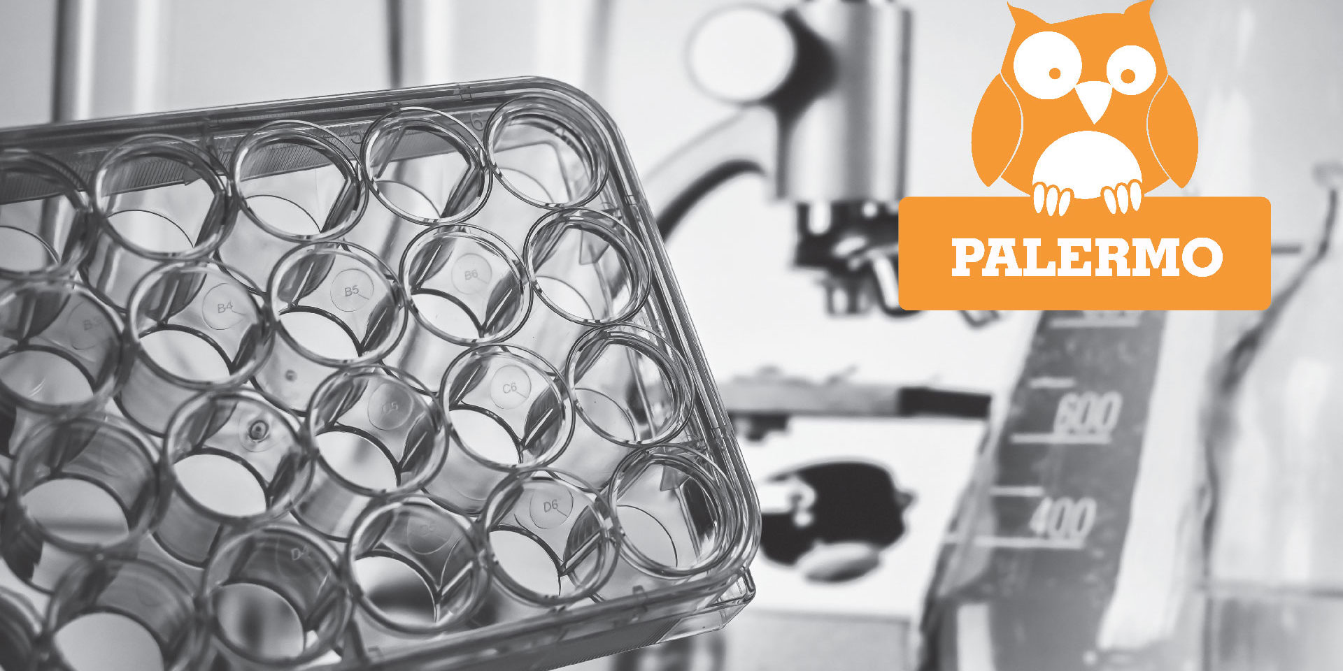 La Fibrosi Cistica: una delle malattie genetiche più diffuse nel mondo