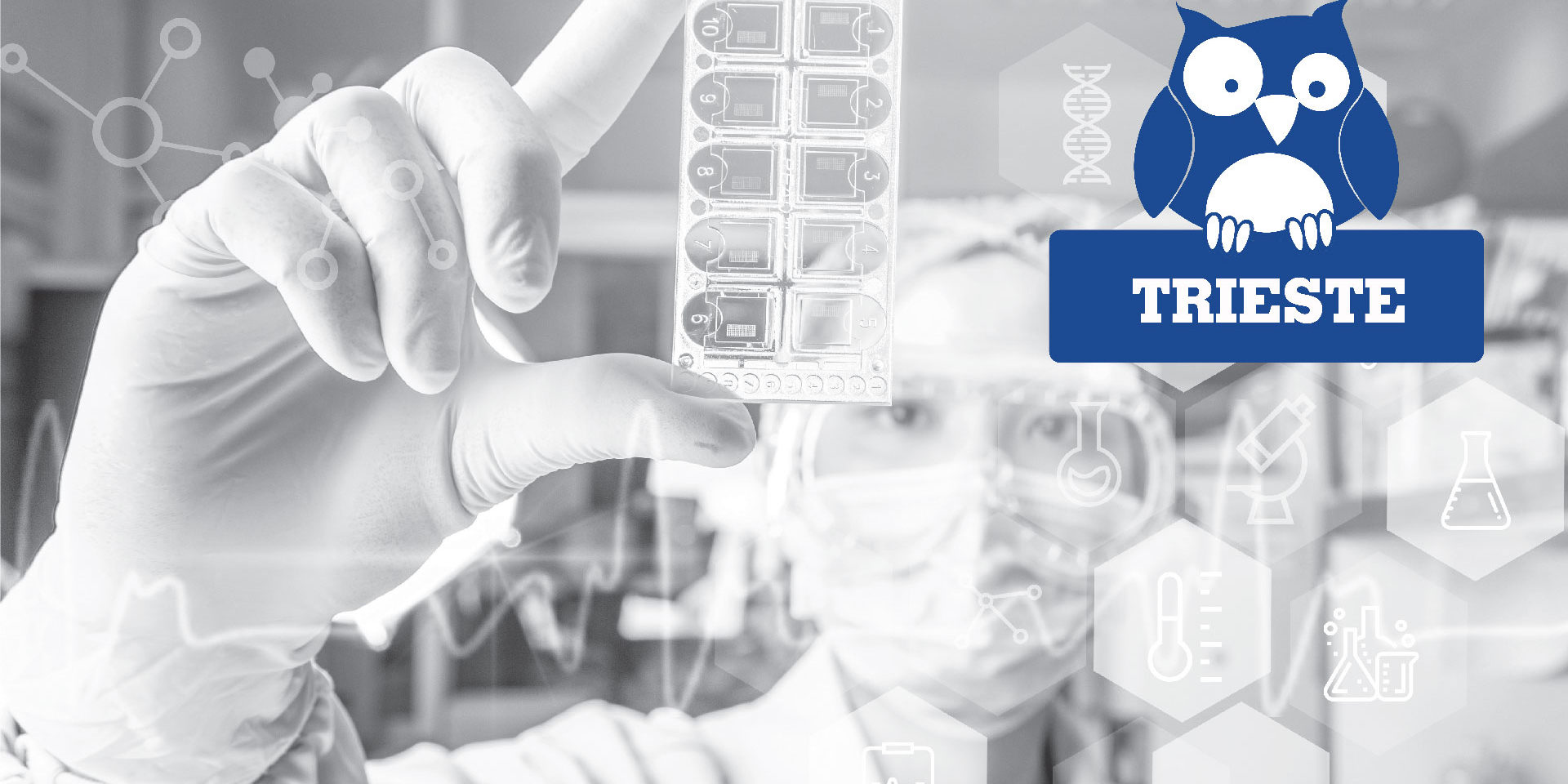 MEDICINA PERSONALIZZATA E PREVENZIONE PRIMARIA PER I TUMORI – A tu per tu con i ricercatori: inseguendo gli obiettivi