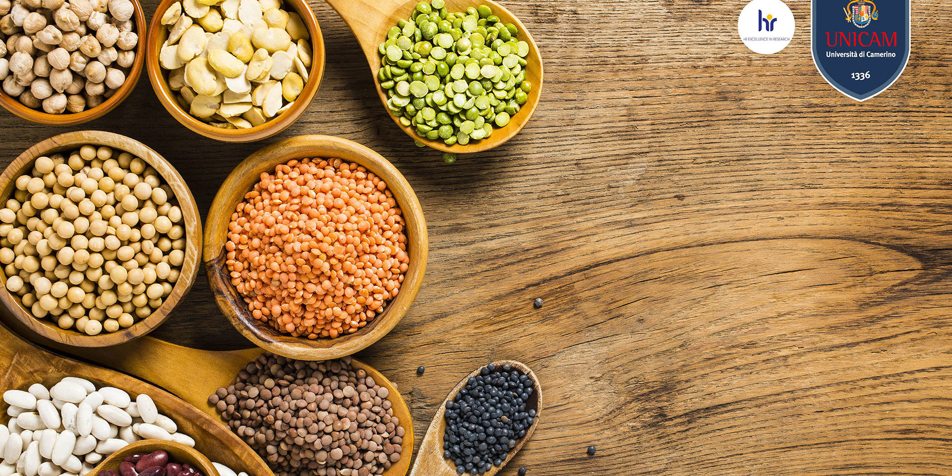 Legumi per un mondo sostenibile