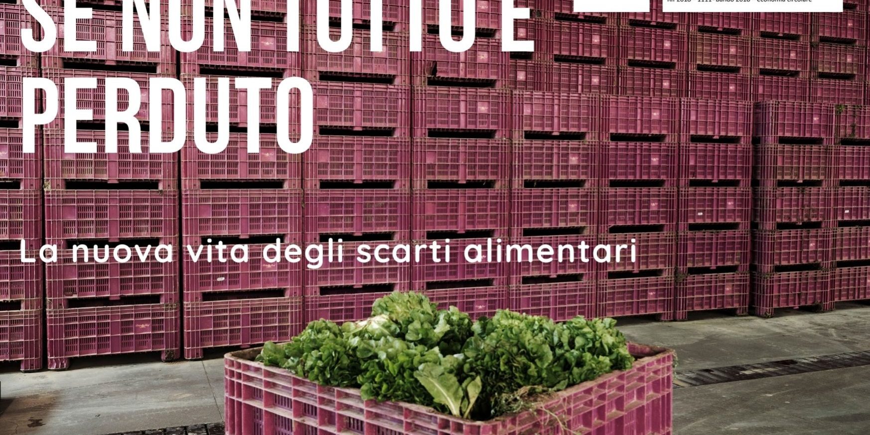 Se non tutto è perduto – La nuova vita degli scarti alimentari