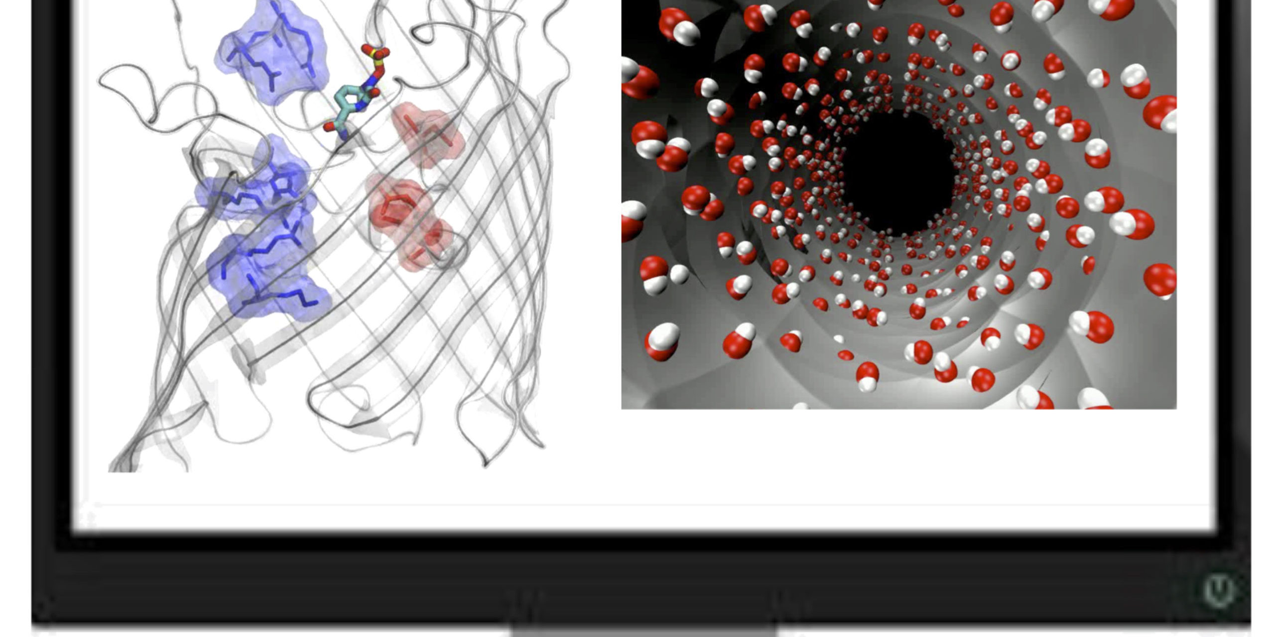 Il computer per la medicina molecolare e per l’ambiente