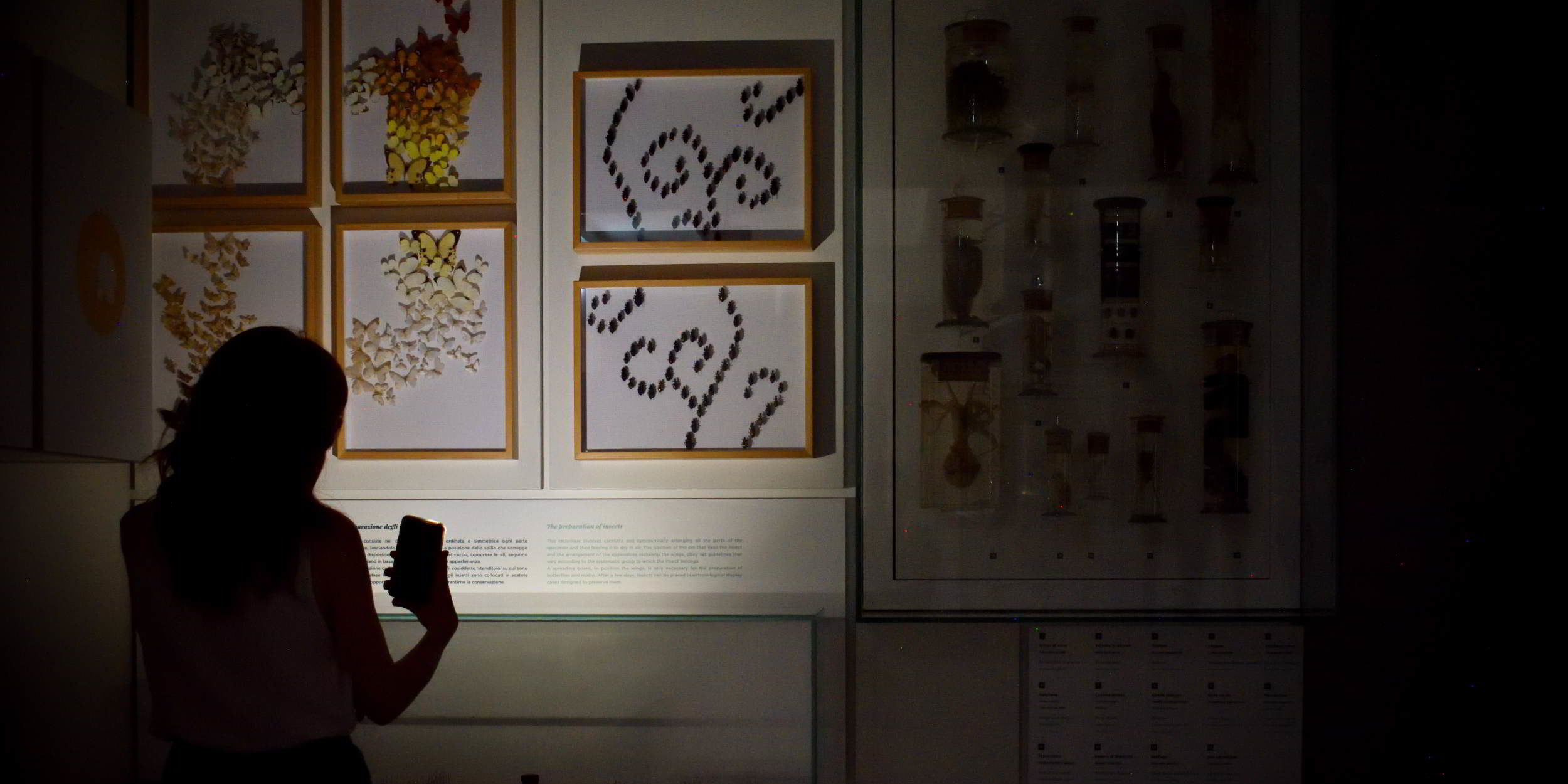 Alla ricerca nel museo! Notte delle ricercatrici e dei ricercatori