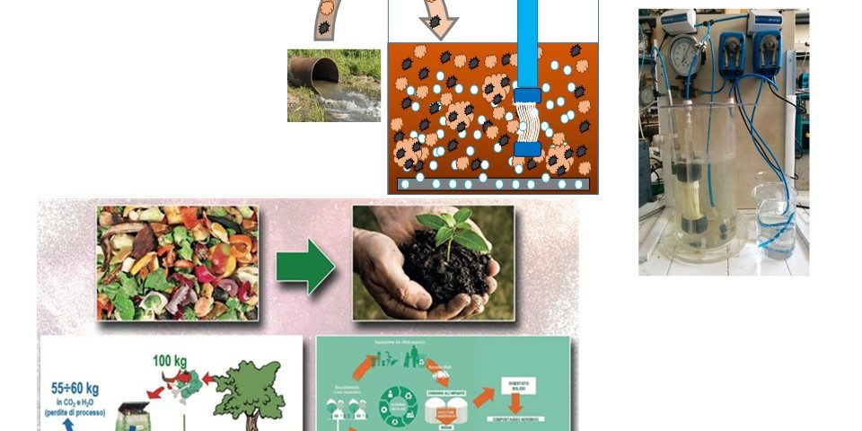 Biotecnologie per la protezione dell’ambiente e il recupero di risorse