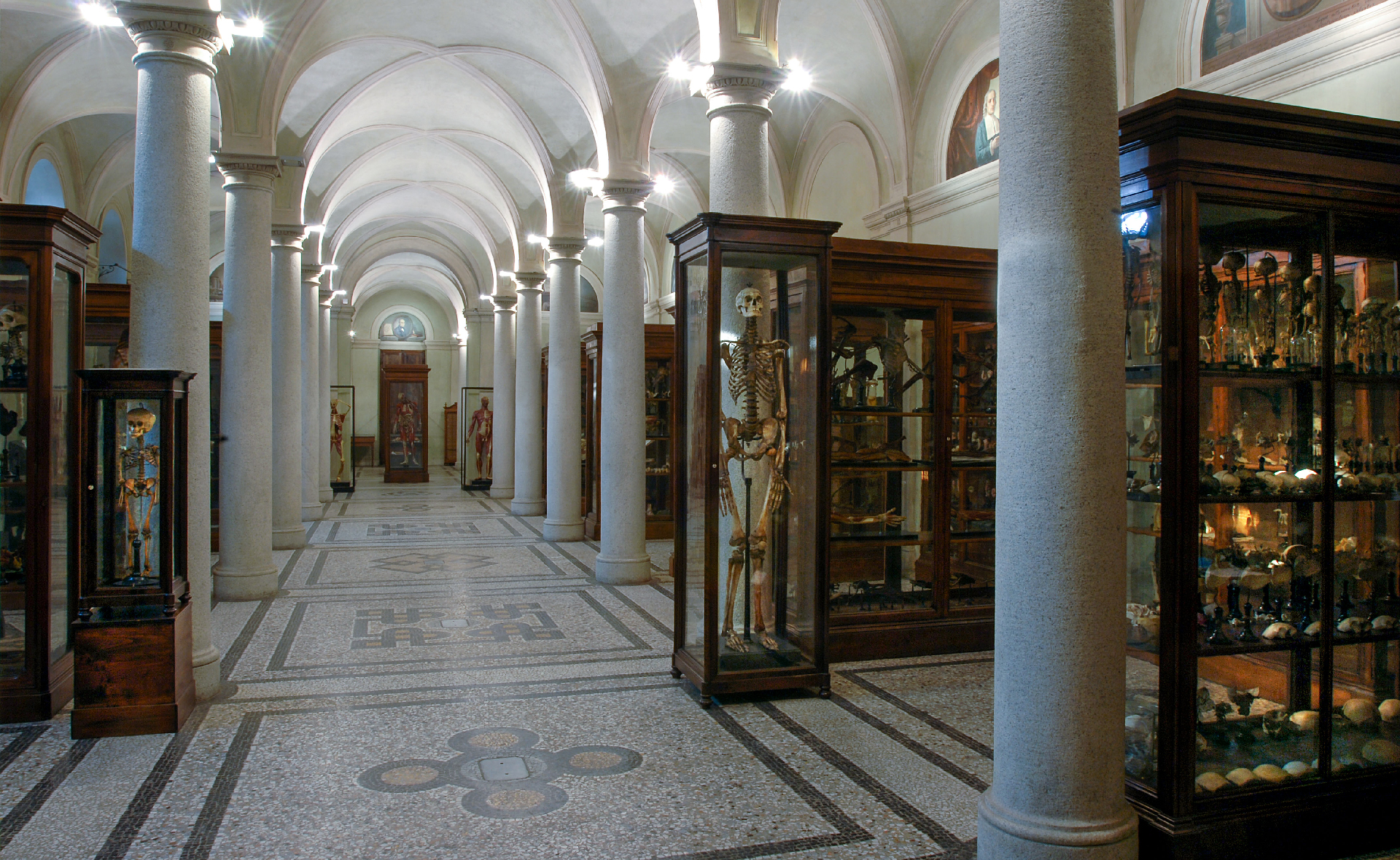 Polo Museale del Palazzo degli Istituti Anatomici