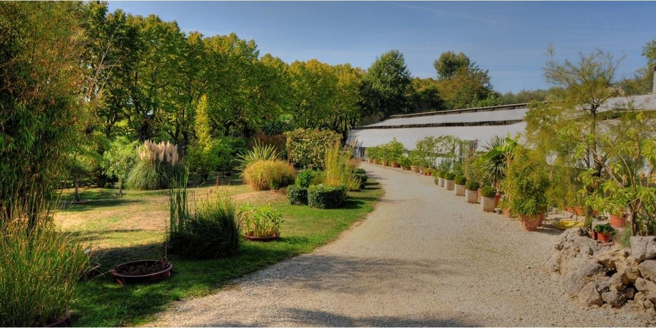 Un albero per una scienziata