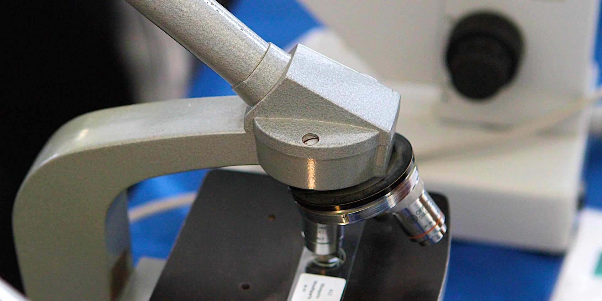 Scienza in Piazza: BIOTECNOLOGIE