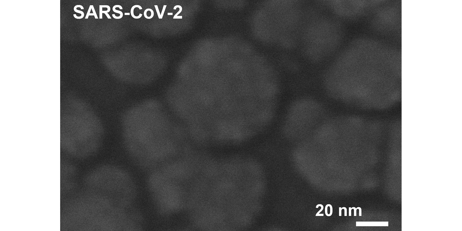 Esplora il mondo nanoscopico