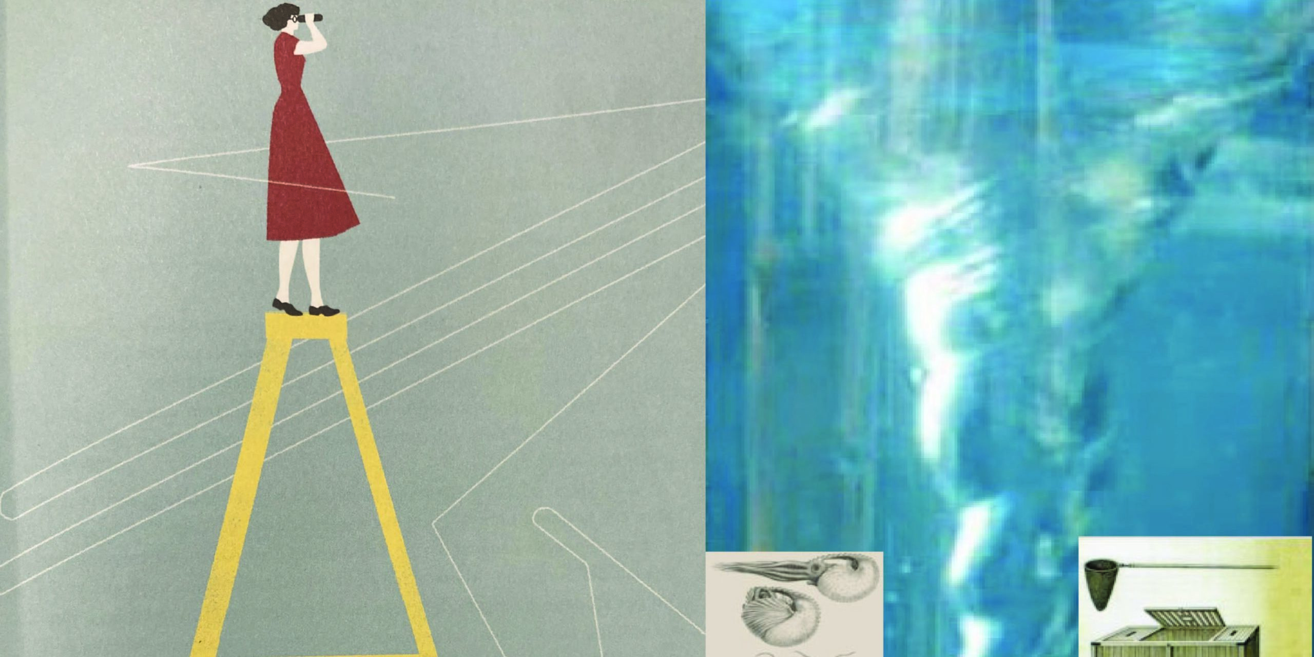 STEAM attività per ragazze e ragazzi