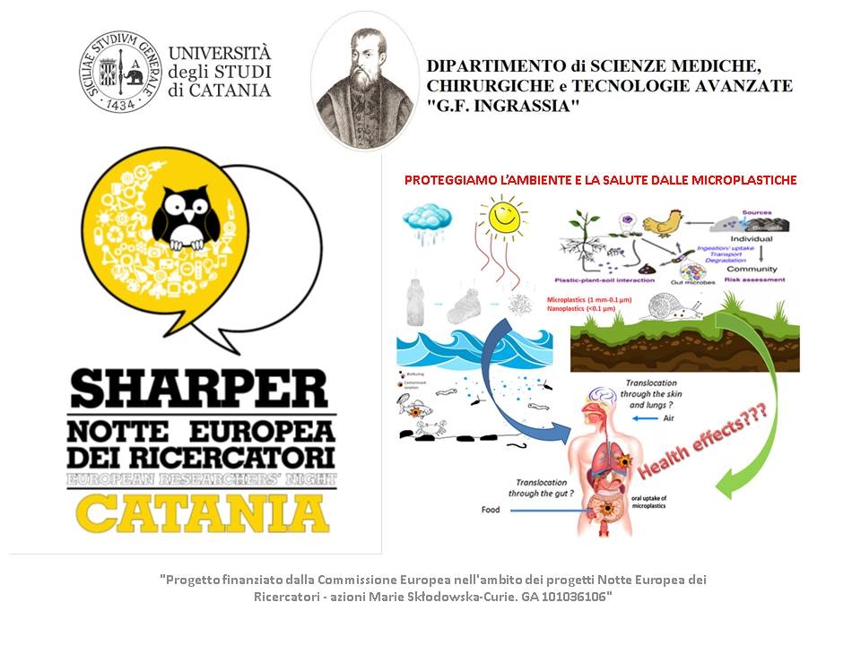 Le microplastiche la minaccia delle particelle sintetiche.