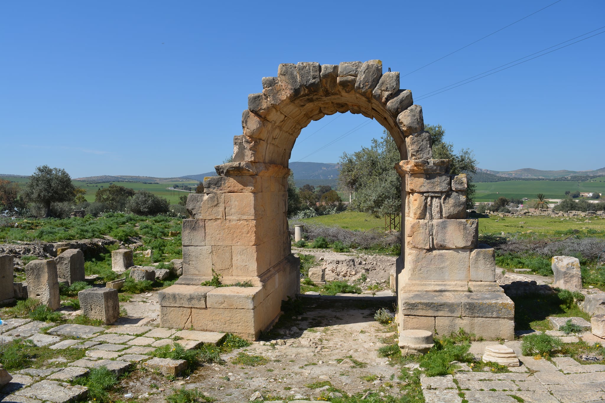 Università degli Studi di Sassari