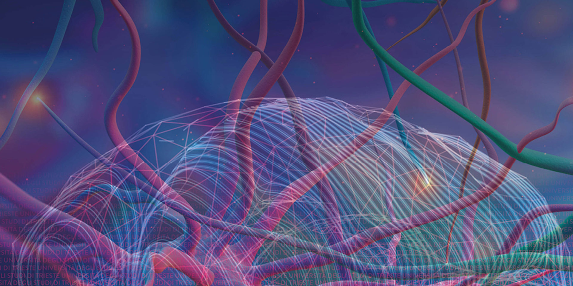 Scienza in Piazza: SALUTE E BENESSERE