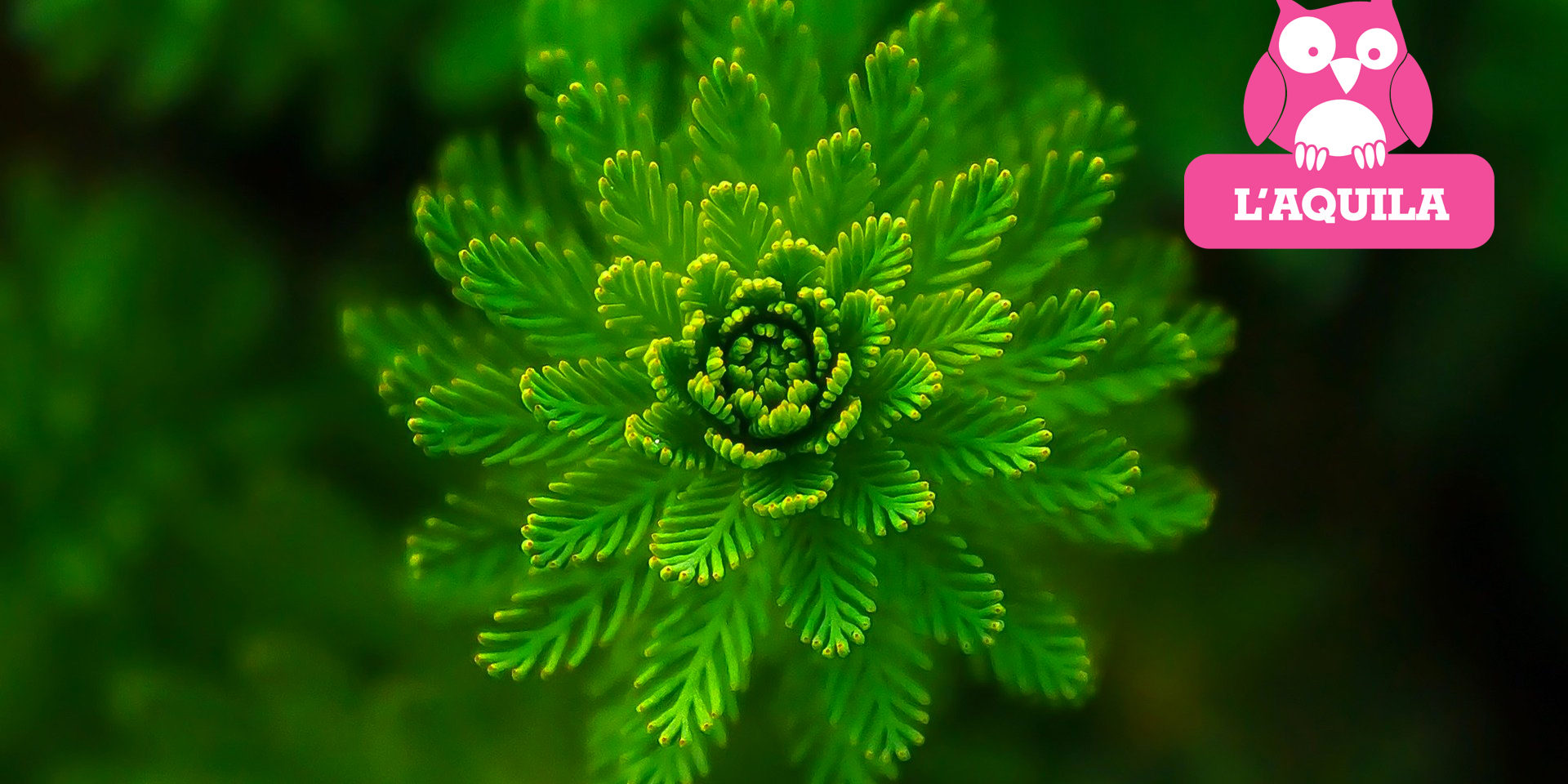 LA BOTANICA NON È UNA COSA SERIA