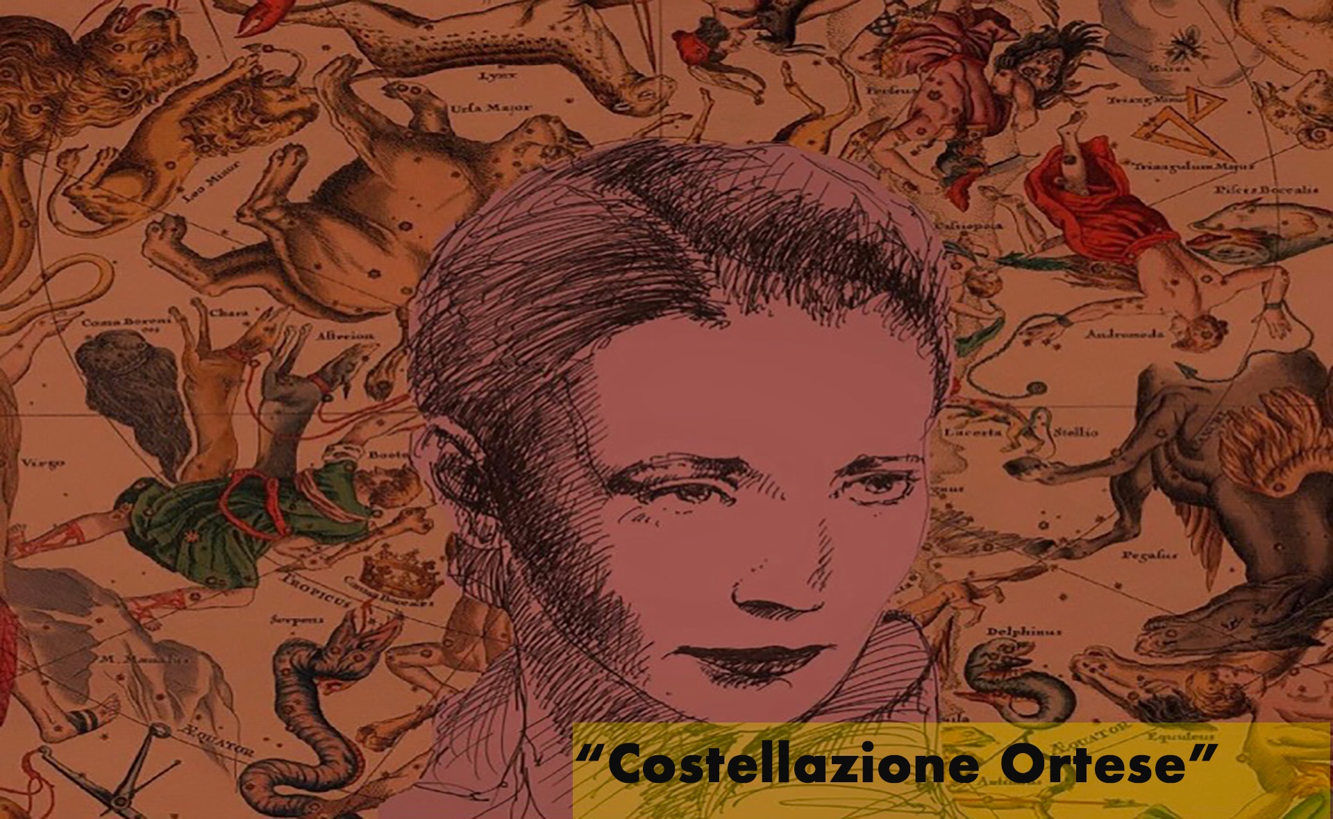 Costellazione Ortese