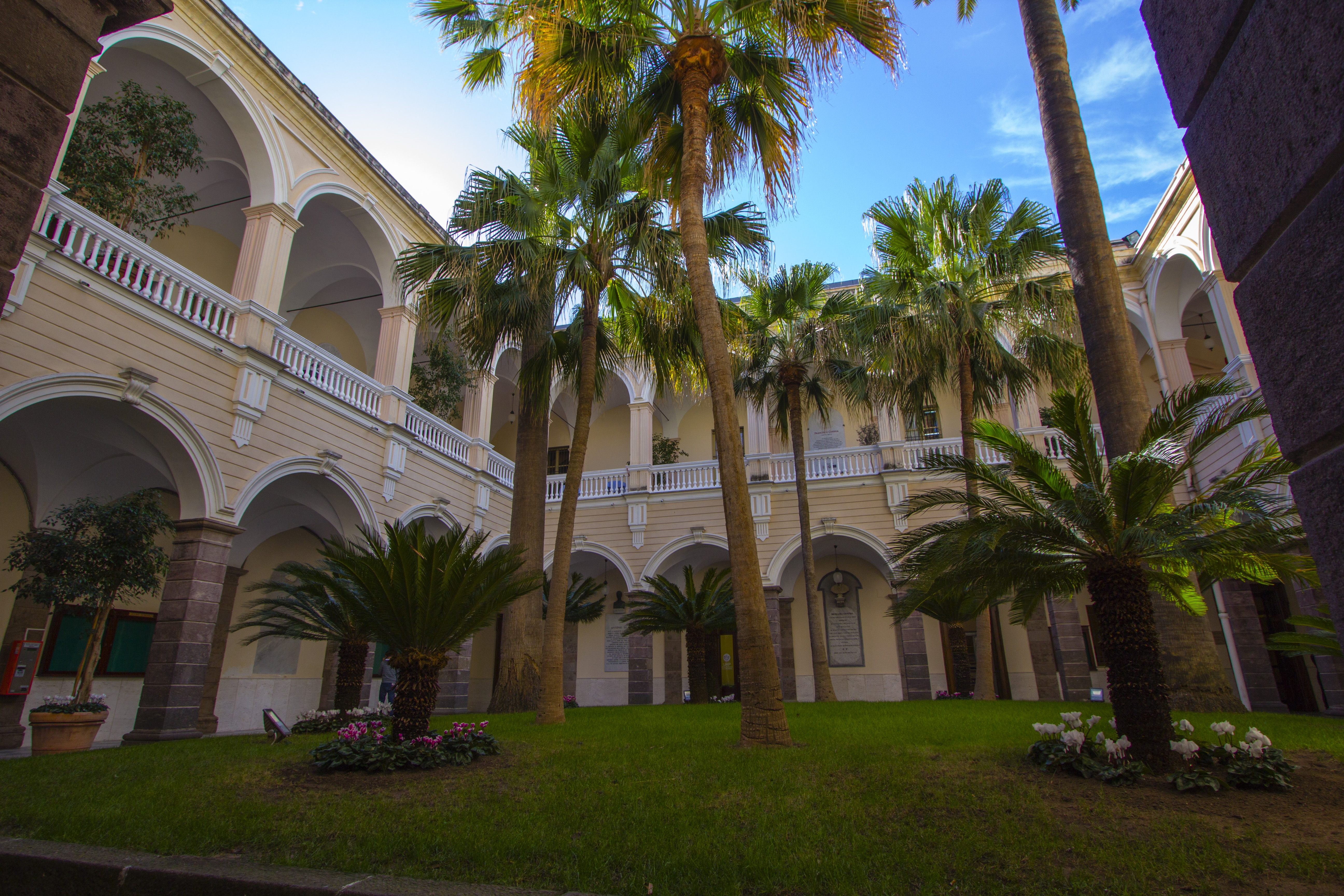 Università degli Studi di Sassari