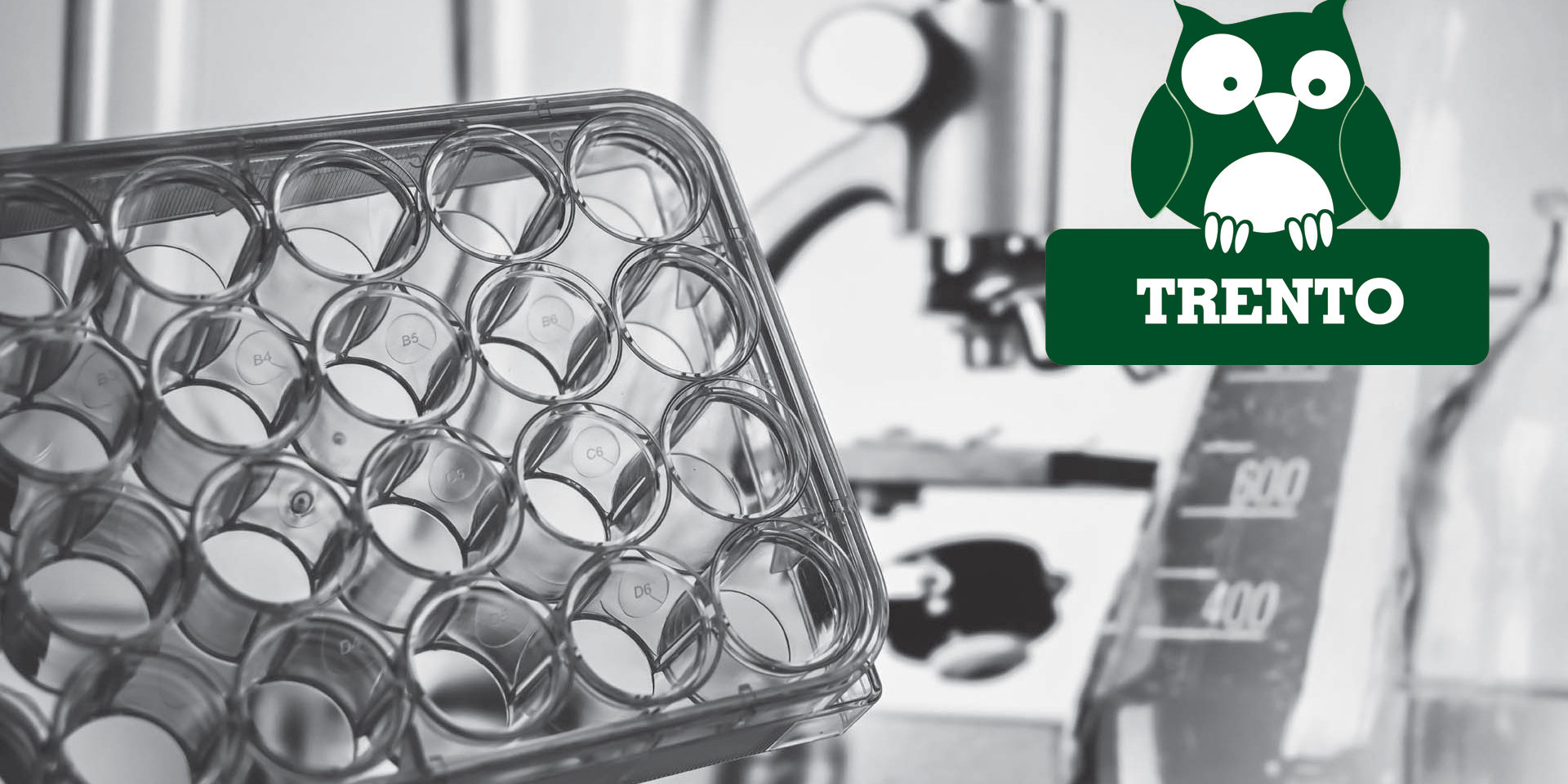 Il DNA ambientale: il codice a barre della biodiversità