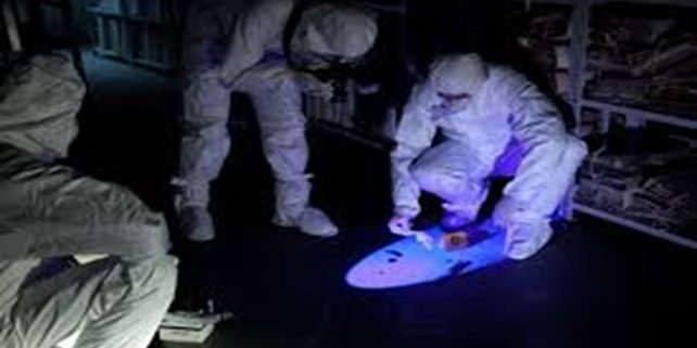 La scena del crimine e le investigazioni biologiche