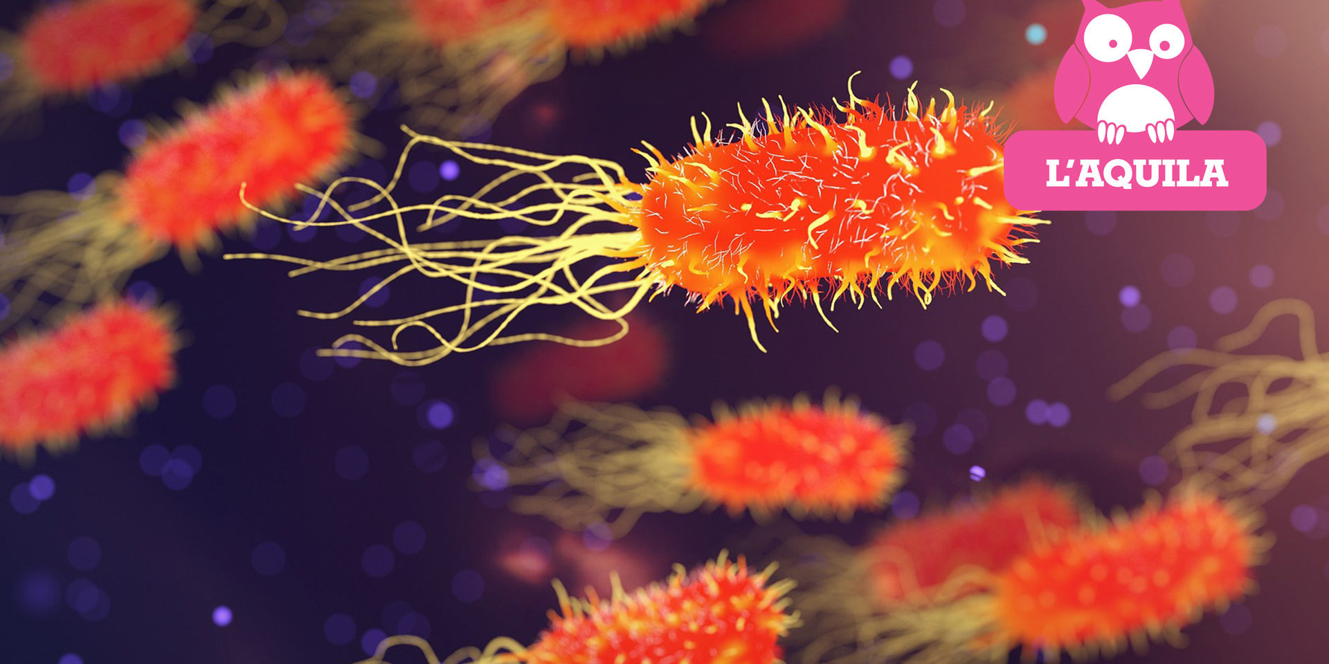 SIAMO MOLTITUDINI – Batteri, simbiosi e la vita che non vediamo