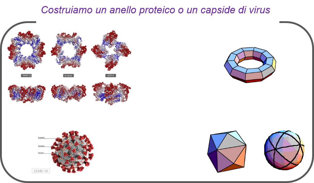 Istituto di Biofisica - CNR