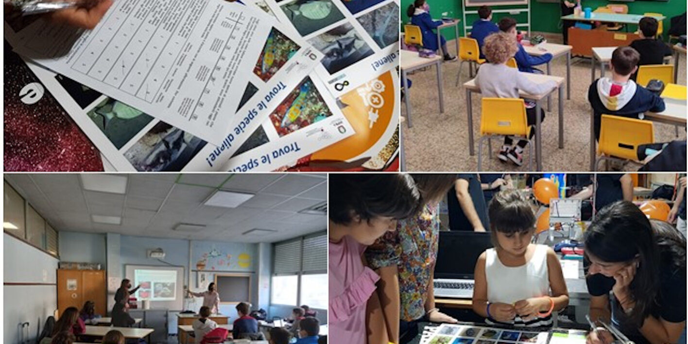 Specie aliene e rifiuti marini: quando il cittadino diventa alleato della scienza!