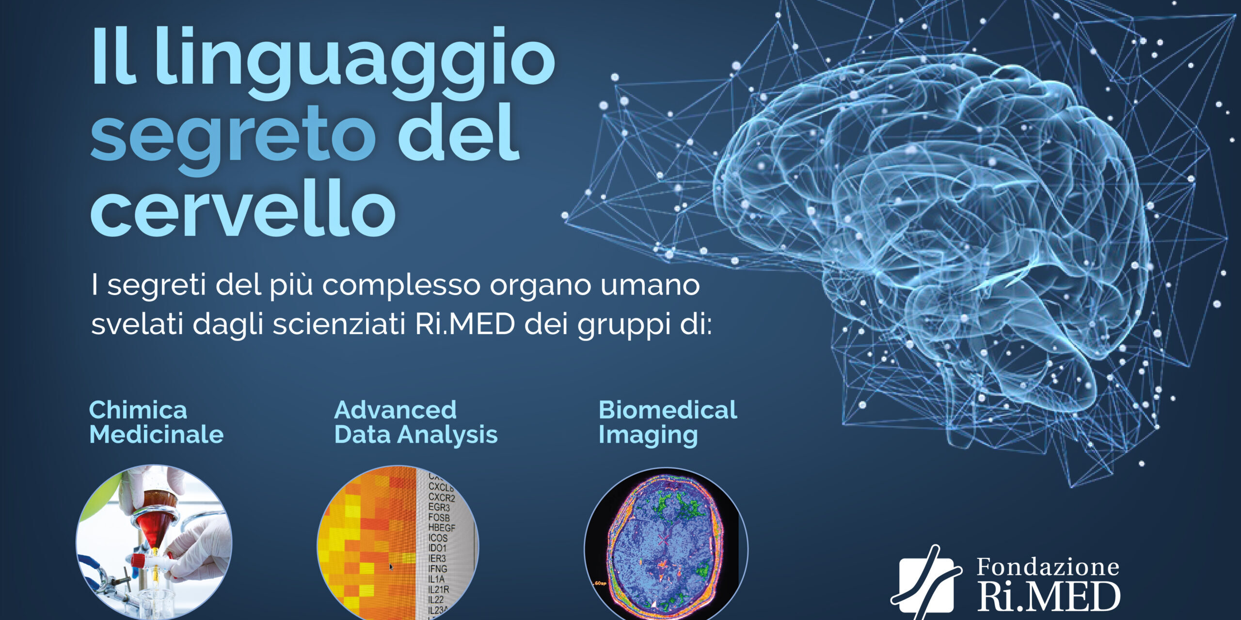 Il linguaggio segreto del cervello