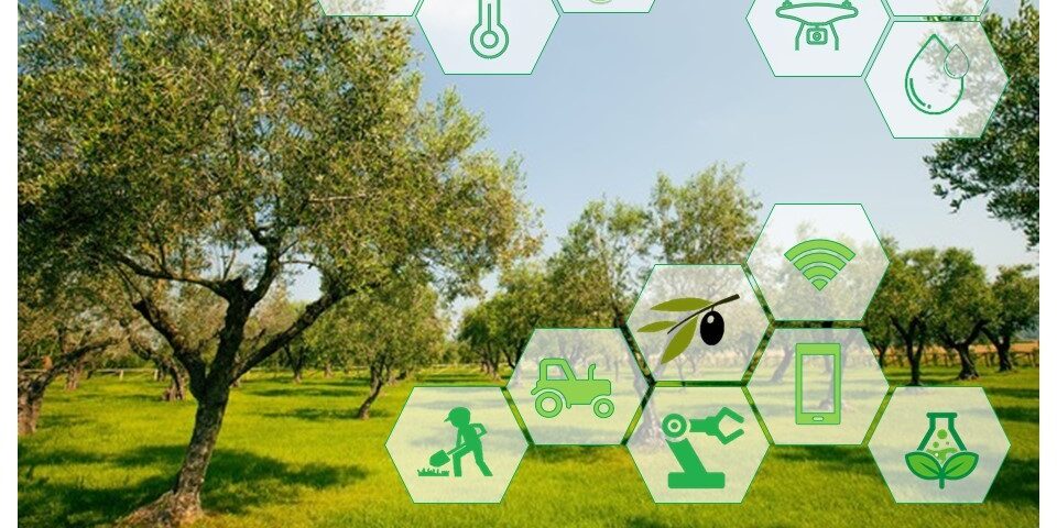 L’agricoltura nell’era digitale: nuove sfide e opportunità