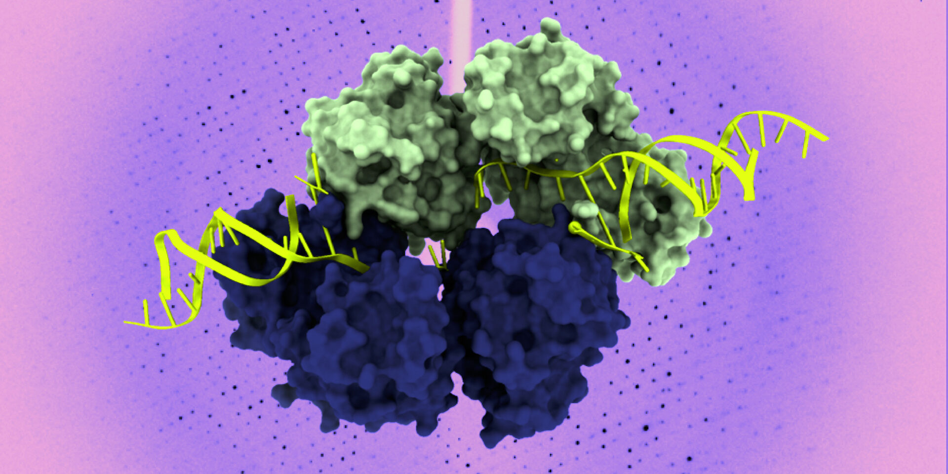 AL DI LÀ DEL VISIBILE