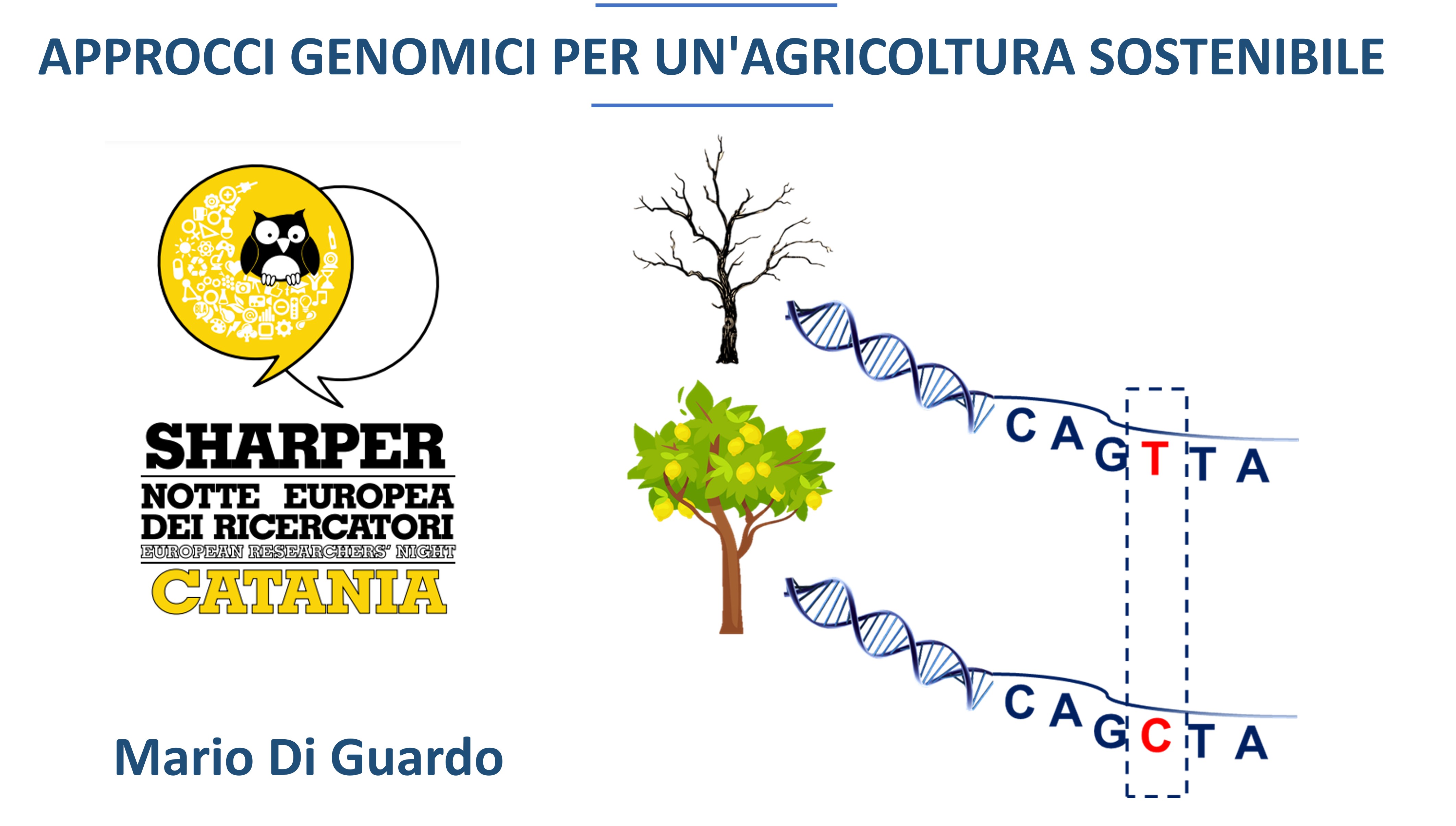 Di3A - Unict, Università di Catania