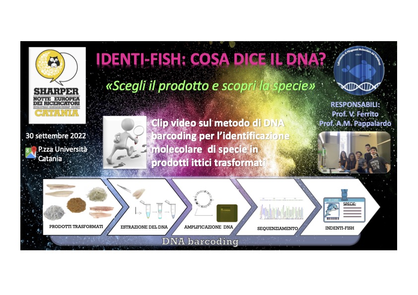 DSBGA - Unict, Università di Catania