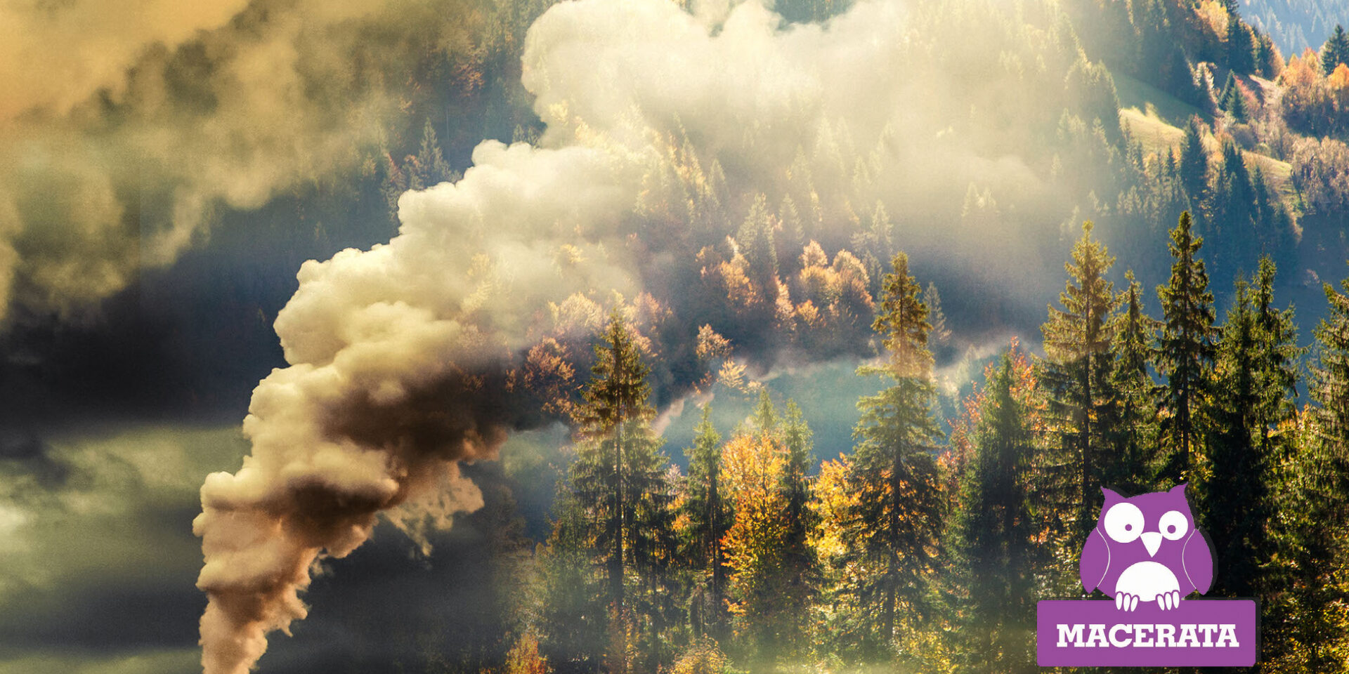 Simulazione di soluzioni climatiche: esploriamo l’impatto delle politiche sul riscaldamento globale