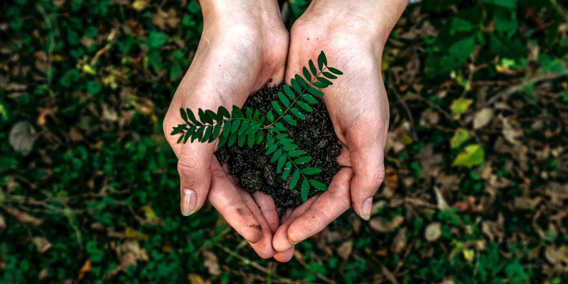 È USCITO IL 17? LA TOMBOLA DELLO SVILUPPO SOSTENIBILE