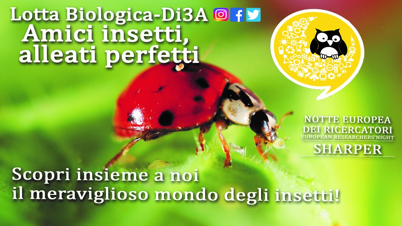 Di3A - Unict, Università di Catania