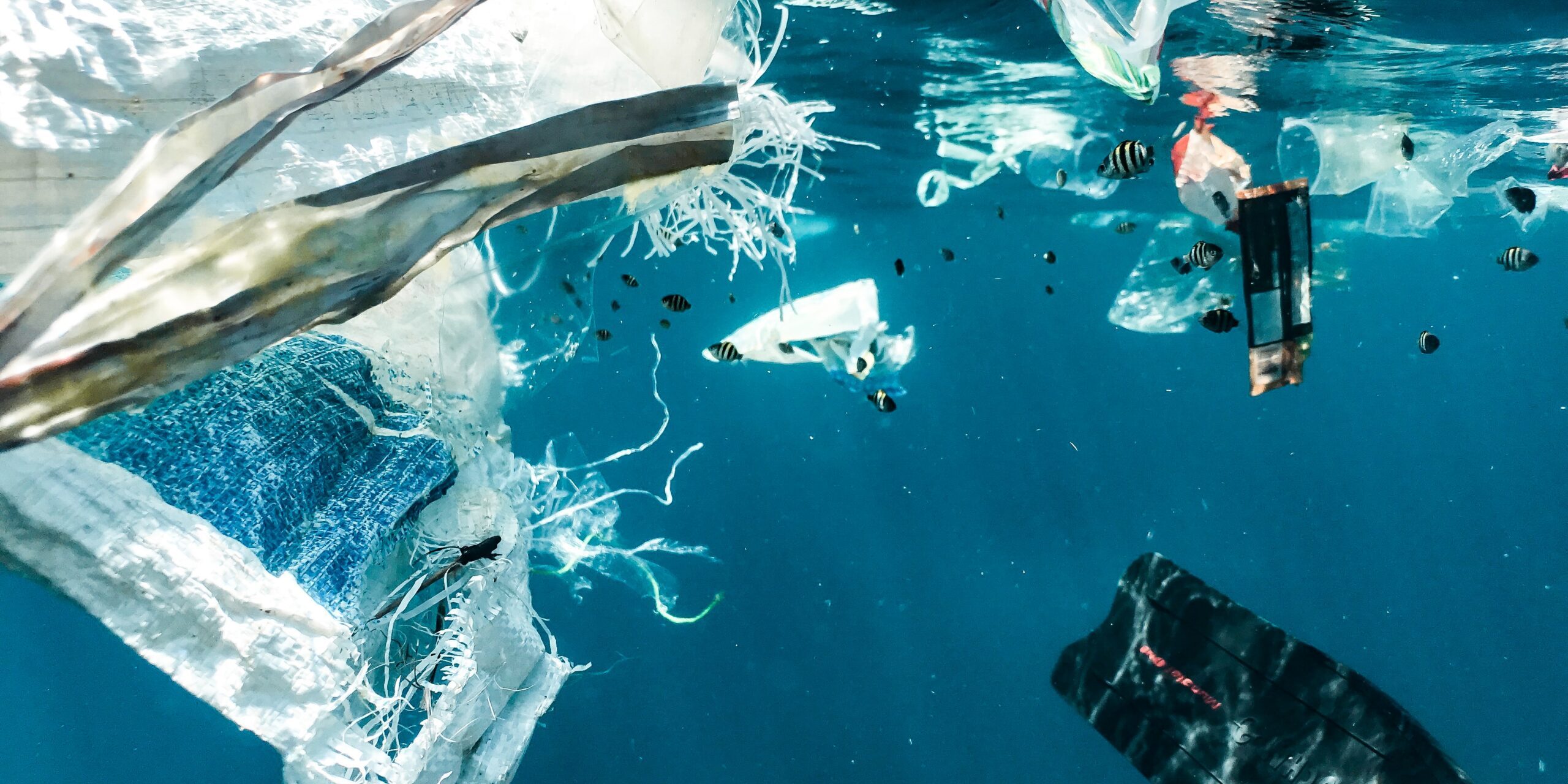 Speakers’ corner: Oceani in pericolo