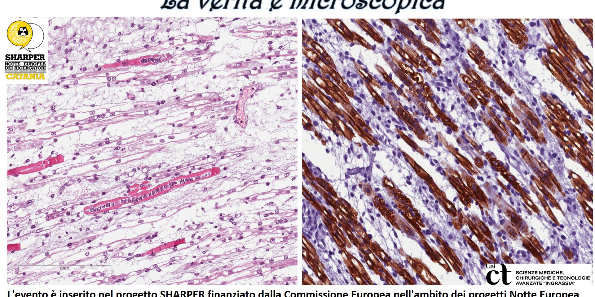 LA VERITA’ E’ MICROSCOPICA!!!