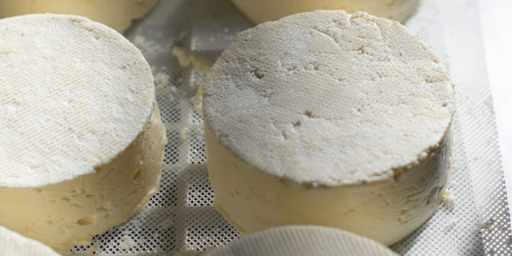 Sviluppare prodotti lattiero caseari funzionali