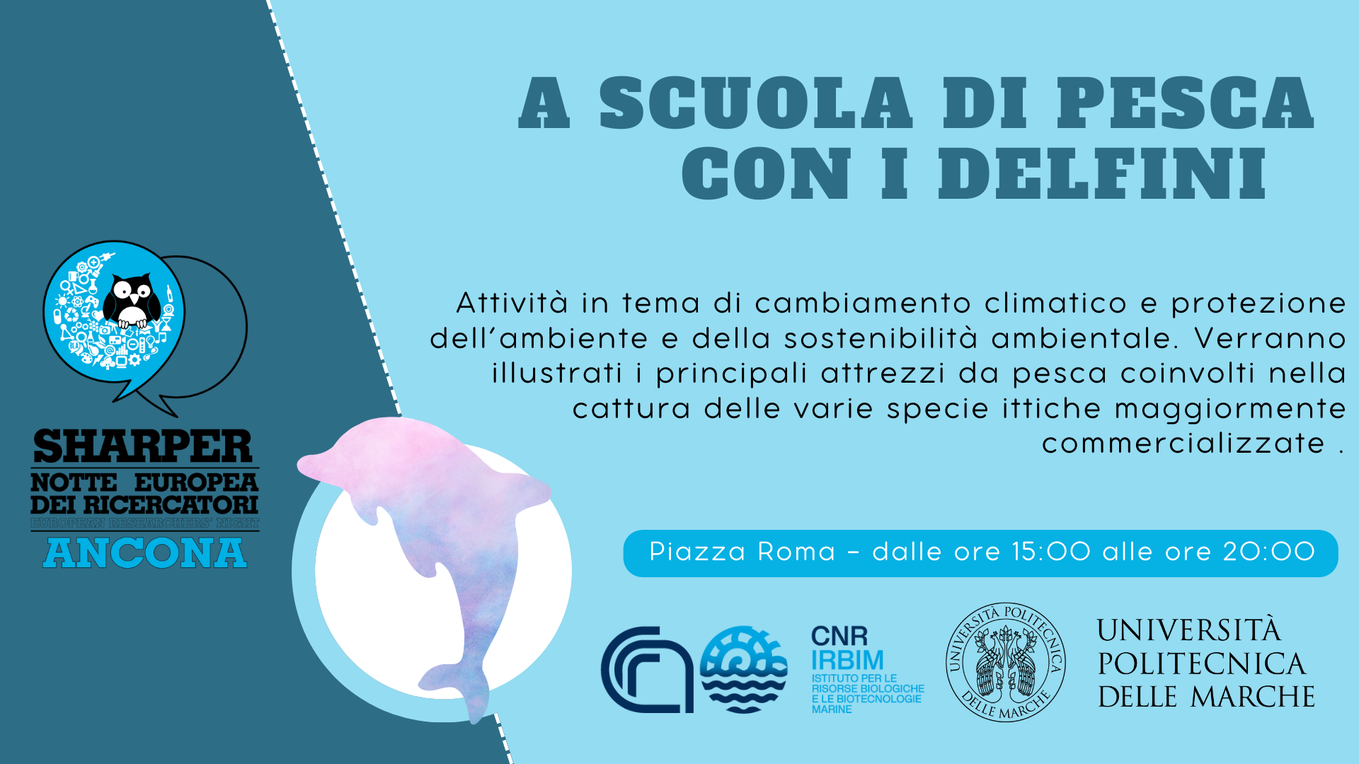 A scuola di pesca coi delfini