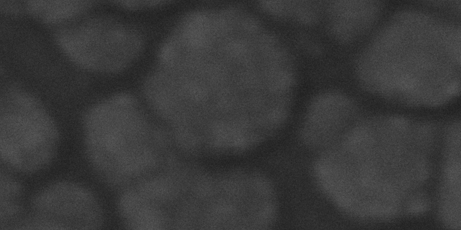 Esplora il mondo nanoscopico