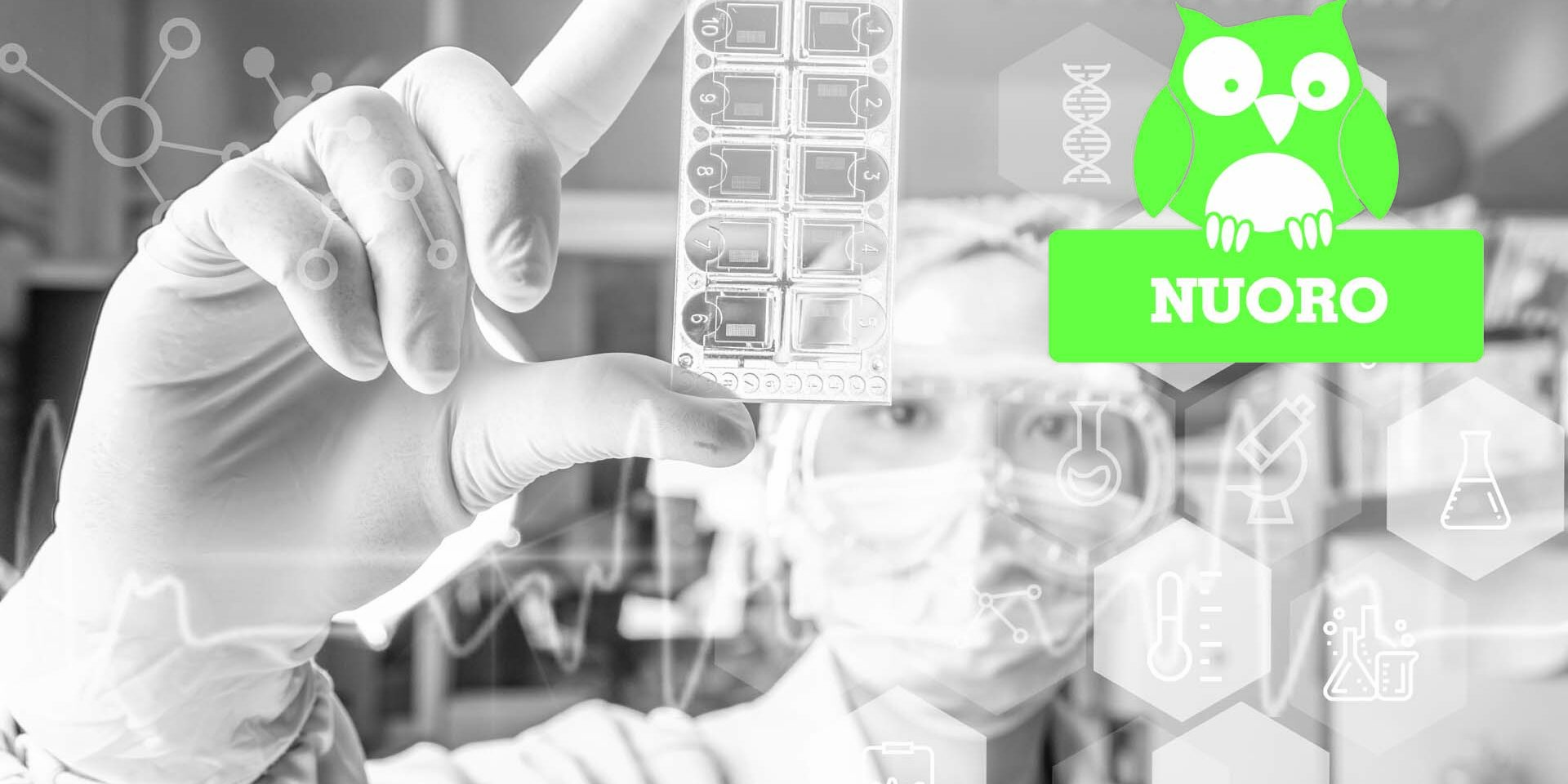 LE SCIENZE APPLICATE