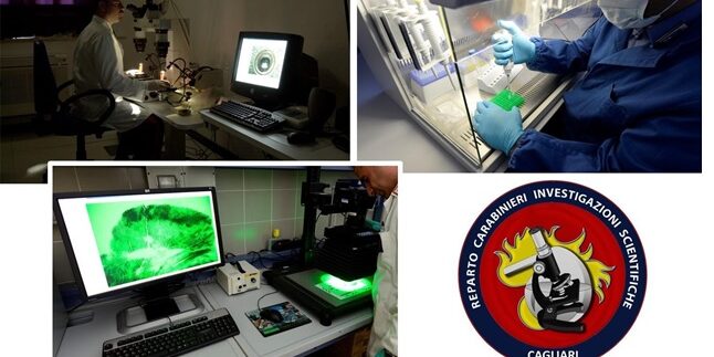 Il mistero dell’orto botanico di Cagliari: investigatori per una notte