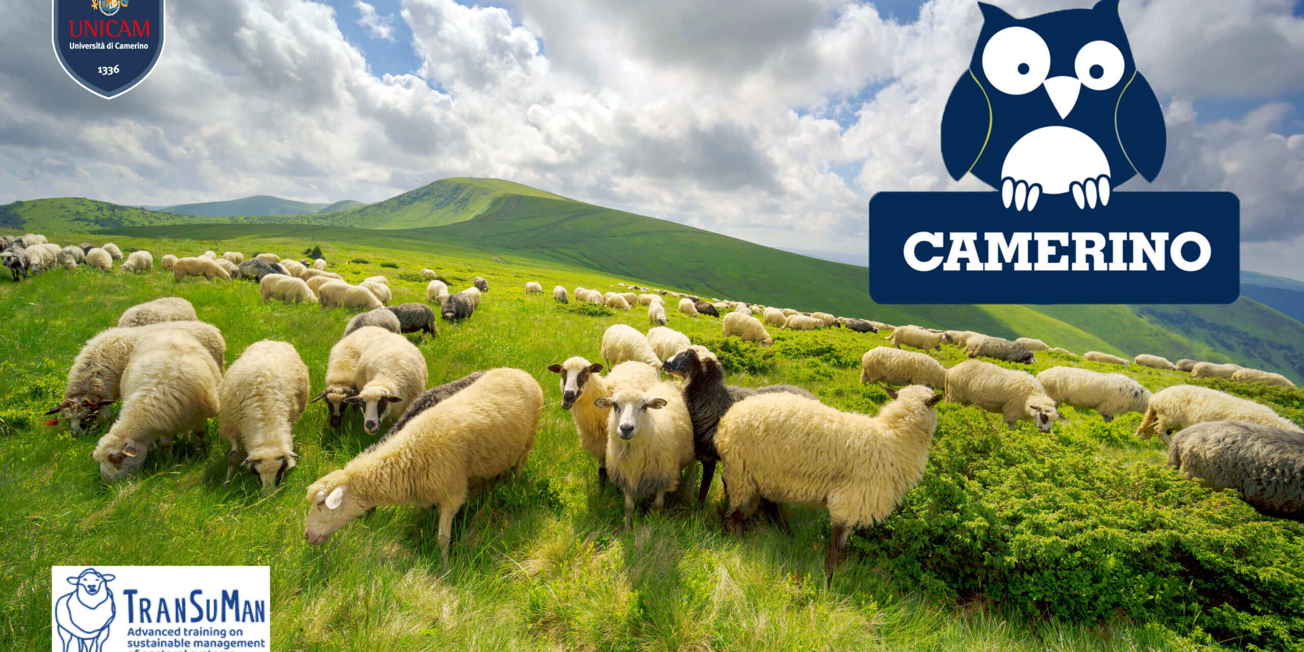 Sostenibilità: Come salvaguardare la biodiversità, il reddito degli allevatori e garantire il benessere animale e la qualità dei prodotti